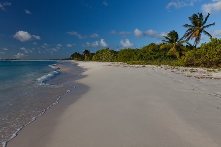 Barbuda Beach.jpg